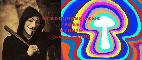 ECSTASY Белокуриха