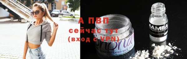 стафф Богданович