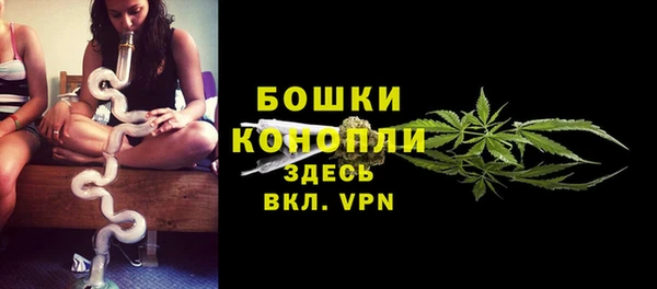 стафф Богданович