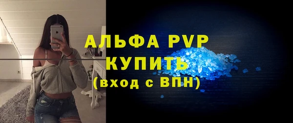 стафф Богданович