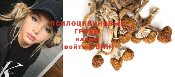 молекула духа Беломорск